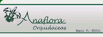 Anaflora Orquidceas