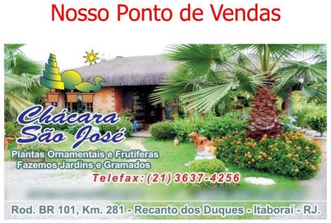 Anaflora Orquidceas Ponto de Vendas